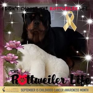 Meet your Posher, Judy